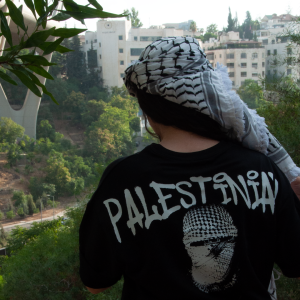 Palestinian T-shirt