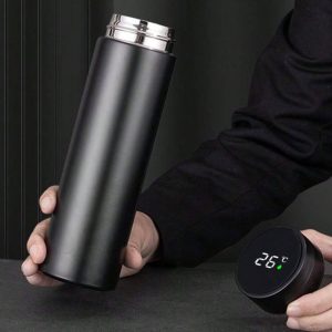 Stainless Bottle